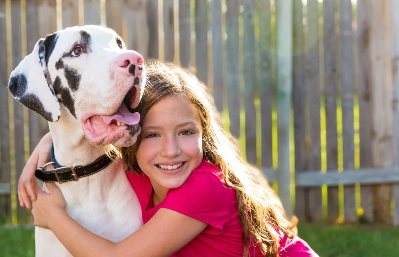 Top Classic Female Dog Names That Never Get Old 2026